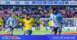 Thể Thao 247 - News update