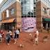 Restaurant-patio ban not indicative of pet-friendliness in Columbus ...