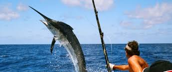 Image result for fishing