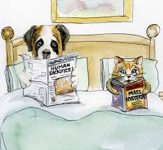 Résultat de recherche d'images pour "cats and dogs living together pictures"