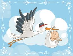 Resultado de imagem para Cegonhas com bebe no bico