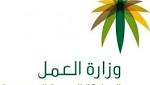 ضبط آلاف مخالفة لتأنيث محال