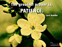 Buddha Quotes On Patience. QuotesGram via Relatably.com