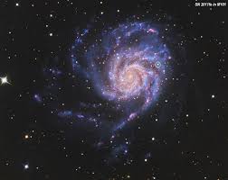 Image result for galaxy m101