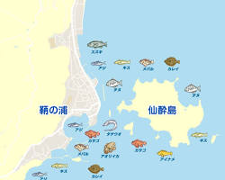 鞆の浦での釣りの画像