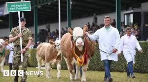 BBC - News update