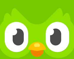 صورة Duolingo app logo