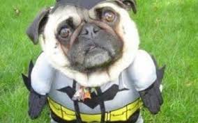 Resultado de imagen para imagenes