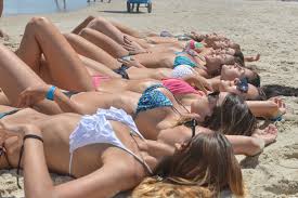 Resultado de imagem para concurso festival universitario gatas das praias