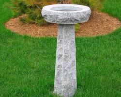 Hình ảnh về beautiful granite bird bath in a sunny garden