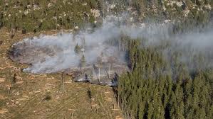 Skogsbrand vid Lamborn bekämpades med helikoptrar