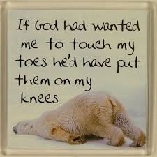 Image result for If God wanted me to touch my toes, he would have put them on my knees.