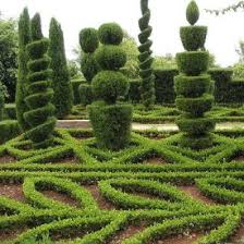 Image result for topiary