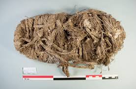 Scientific American | The bearded vulture—aka the quebrantahuesos or “bonebreaker”—isn't just a scavenger. These raptors are collectors, too. In southern Spain,... | Instagram