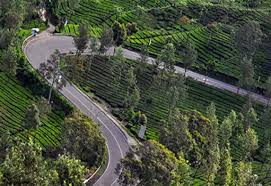 Image result for puncak rindu alam CIANJUR