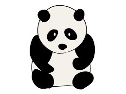 Image result for panda