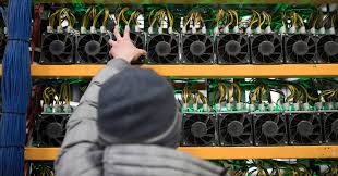 Riot Platforms Amid Bitcoin Volatility