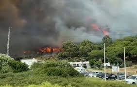 Diario Área Campo de Gibraltar - News update