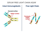 Understanding Serum Free Light Chain Assays - International