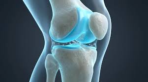 Creaking knees (Crepitus) - Fysio Fitaal