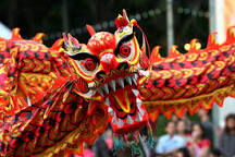 Image result for ChineseNewYear