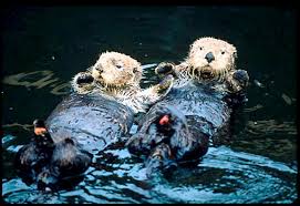 Image result for "Exxon Valdez"