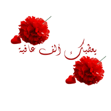 أألـآكسـسواراتــ وألـآنــاقــةة