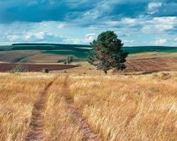 Image of vast agricultural landscape in Russia