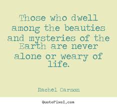 Quotes about life - Those who dwell among the beauties and ... via Relatably.com