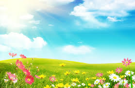 Image result for spring wallpaper free