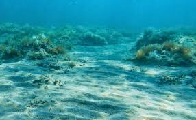 Científicos graban en vivo la creación de un nuevo pedazo de tierra; así se abrió el suelo submarino