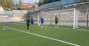 Trend Google: ripescaggi serie d