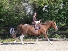 équitation en amazone, selle d'amazone