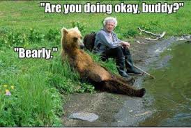 Image result for How are you meme