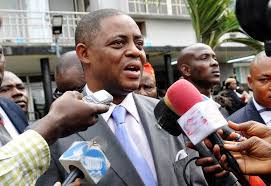 Image result for photo of Fani-Kayode and wife