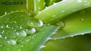 Image result for ‫درمان خانگی کهیر‬‎