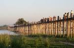 Teak Big Lands Brazil