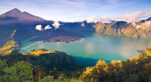 Hasil gambar untuk pecinta alam indonesia