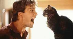 Resultado de imaxes para ghost pelicula