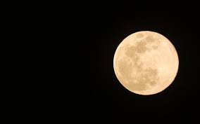 News source: La République des Pyrénées