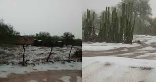 Granizada sorprende en Dr. Arroyo, Nuevo León