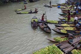 Image result for Manikganj District Fruits