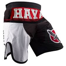 Image result for HAYABUSA MMA SHORTS