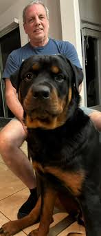 The Power of Love: How a Forgotten Dog Found a New Beginning – New and Tips