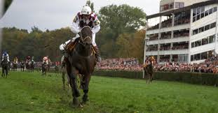 Znalezione obrazy dla zapytania moszna