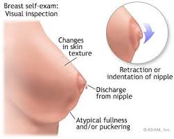 Image result for breast cancer