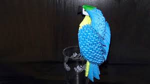 Image result for macaw parrot hd