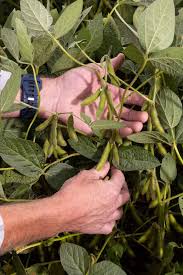 Trump Announces Farm Aid, Supreme Court Hears Case on Agency Firings