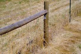 Image result for non climb fence