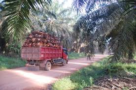 Image result for PT Provident Agro Tbk